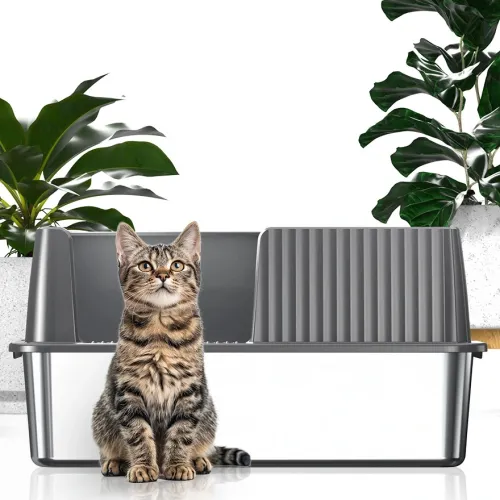 Weatherproof Solutions: The Ultimate Outdoor Cat Litter Box