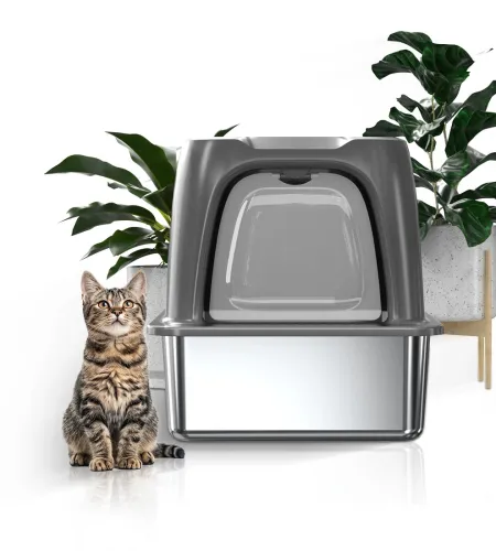 Invest in a Kotlie Splash-proof Litter Box to Save Time on Cleanup.