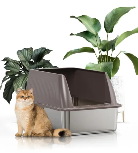 An Outdoor Cat Litter Box Provides a Clean, Designated Toileting Area.