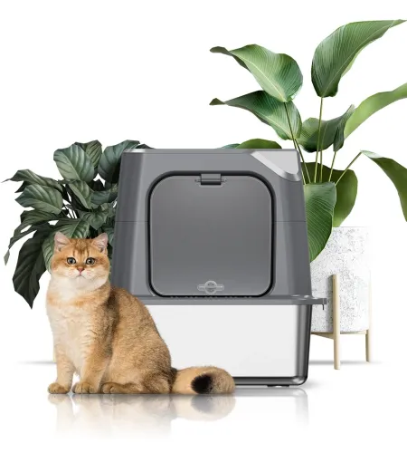 Our Outdoor Cat Litter Box Features a Waterproof Lid and Ventilation.