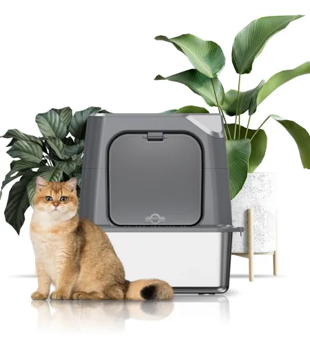 Our Portable Cat Litter Box Features a Secure, Foldable Design.