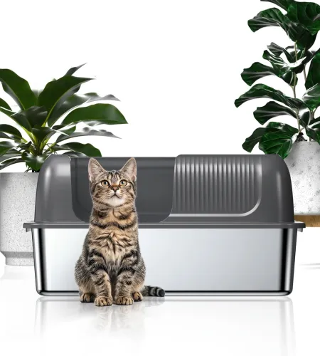 Invest in an Outdoor Cat Litter Box for a Hygienic Outdoor Space.