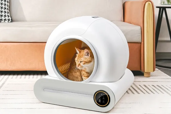 SUNHUI: Discover the Ultimate Luxury Cat Litter Box Factory
