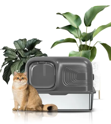 Discover the Advanced Engineering of the Kotlie Splash-proof Litter Box.