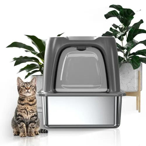 The Definitive Guide to Hidden Cat Litter Box Furniture