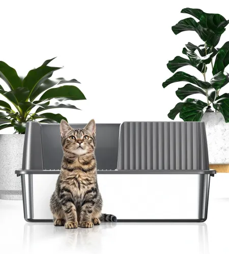 Kotlie Offers Competitive Pricing on Bulk Orders of Splash-proof Litter Boxes.