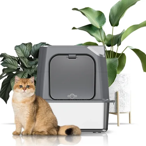 The Ultimate Guide to Splash-proof Litter Boxes
