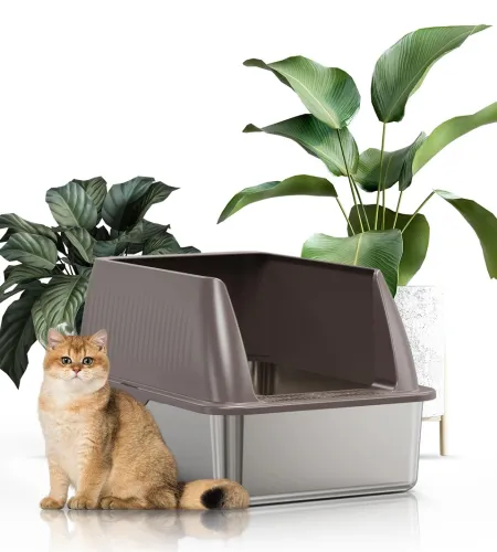 Hidden Cat Litter Box Furniture is the Ultimate Solution for a Beautiful Home.