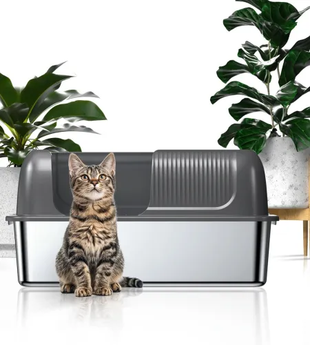Join Many Brands Who Source Their Splash-proof Litter Box from Kotlie.
