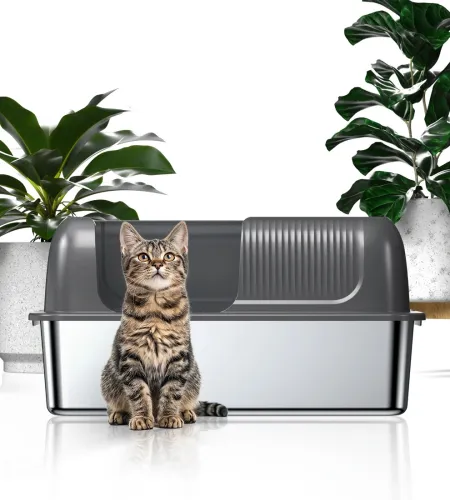 The Kotlie Easy-clean Litter Box: Where Smart Design Meets Simple Care.