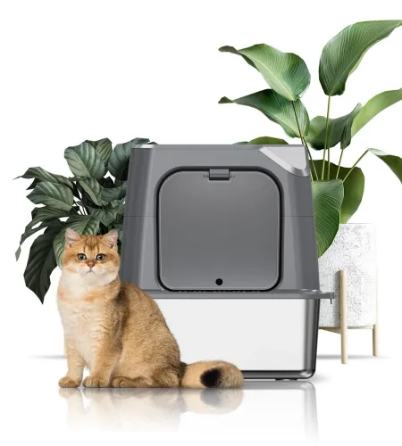 Source Your Splash-proof Litter Box Directly from the Kotlie Factory.