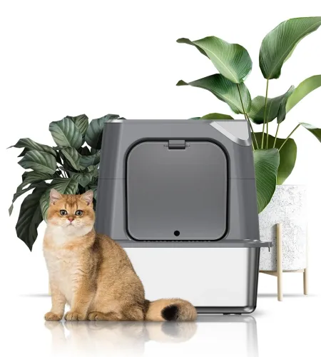 Source Your Outdoor Cat Litter Box Directly from Our Factory.