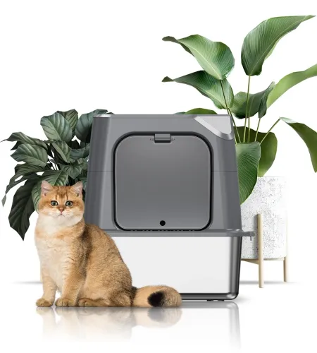 Hidden Cat Litter Box Furniture is the Ultimate Solution for a Beautiful Home.