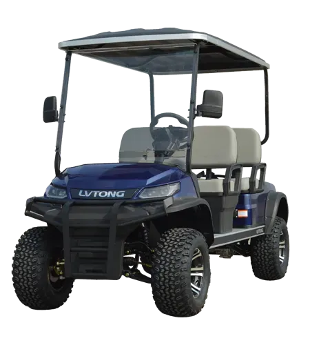 Custom Golf Buggy Brand | Custom Golf Buggy With Leather Seats Company