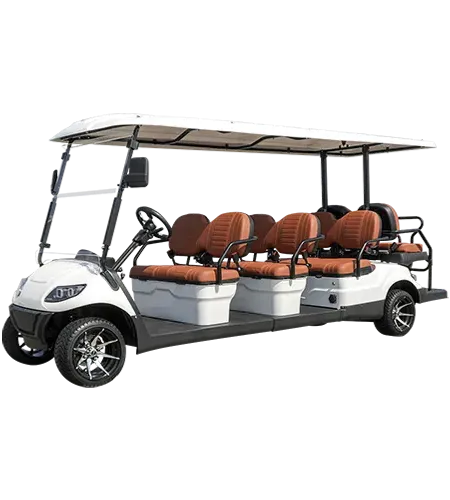 Weatherproof Electric Motor Golf Buggy Factory | Advanced Electric Motor Golf Buggy Manufacturer