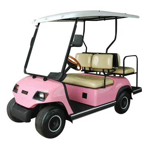 What is custom golf buggy