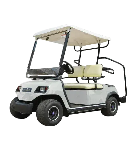 Professional Electric Golf Buggy | Energy-efficient Electric Golf Buggy Seller
