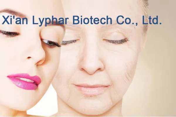 palmitoylethanolamide-powder | What Are the Effects of Copper Peptides?
