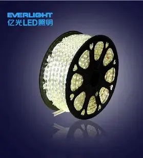 Everlight Led Christmas Lights | Everlight Led Company