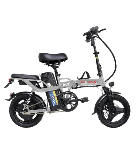 Custom Electric Bicycle | Chopper Electric Bicycle