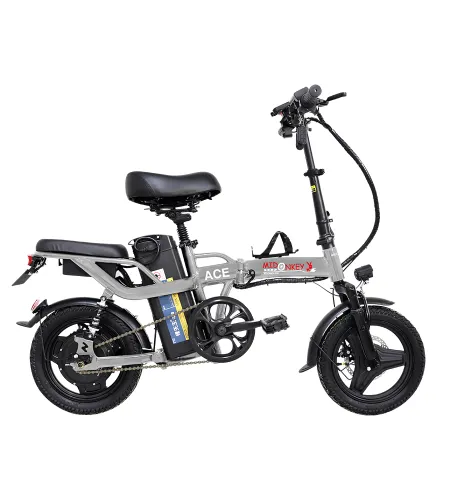 Cheap Electric Bicycle | Beach Electric Bicycle