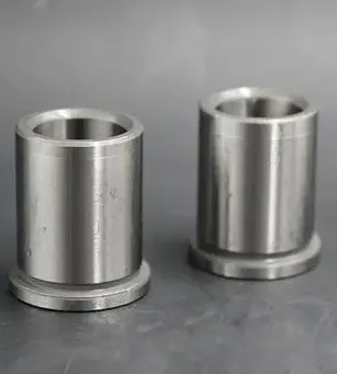 Precision Plastic Mold Guide Bush