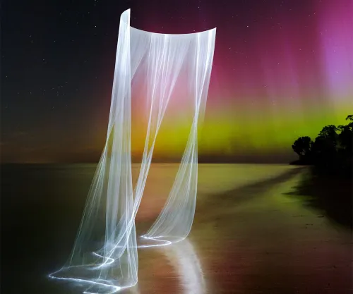 Artistry Meets Innovation: OMG's Revolutionary Light Sculptures