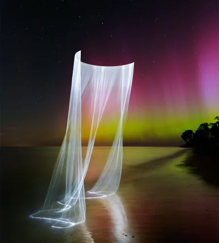 Artistic Excellence: OMG's Gallery-Worthy Magical Light Sculptures