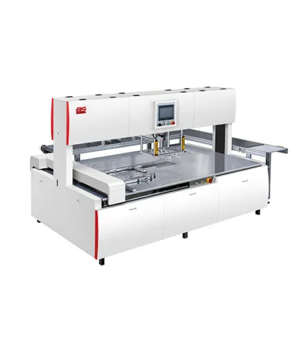 Best Die Cutting Stripping Machine | Die Cutting Stripping Machine Supplier