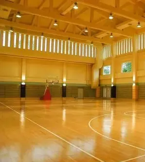 Shock Absorption Rubber Sport Floor | Sport Floor Paint For Volleyball Court