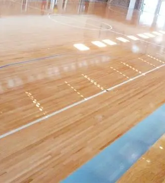 Sơn sàn thể thao tùy chỉnh | Sơn sàn Futsal Sport