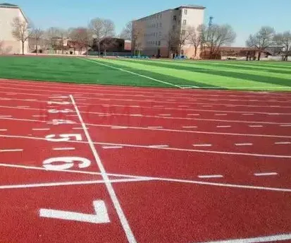 Professional Rubber Running Track