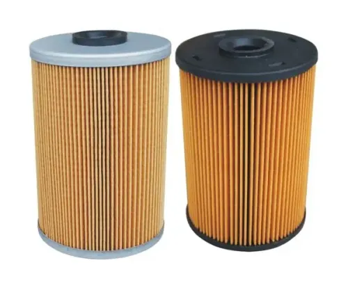 What does the fuel filter do?