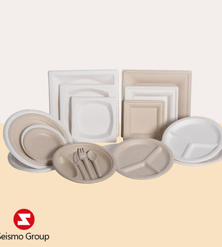 The Future of Food Packaging: Sugarcane Foodstuff Boxes