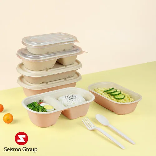 Sugarcane Foodstuff Box Professional Manufacturer | SEISMO
