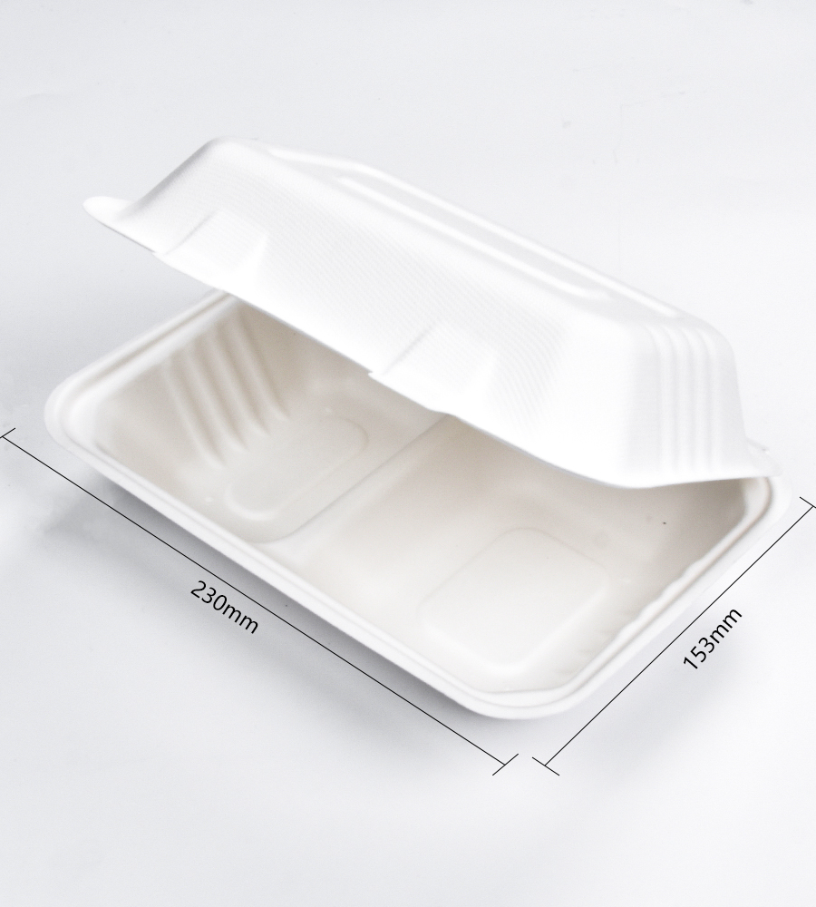 SUNZZA's Disposable Lunch Containers: A Must-Have for Outdoor Activities and Picnics
