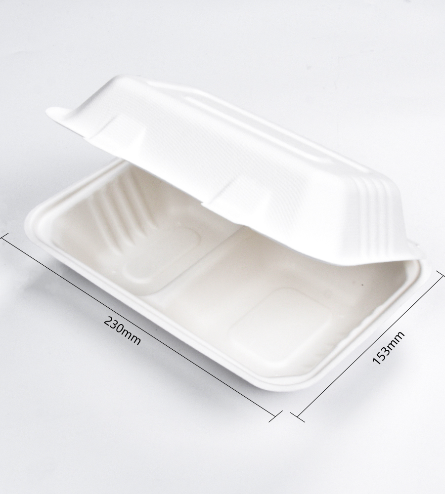 Enjoy a Hassle-Free Lunch Experience with SUNZZA's Disposable Lunch Containers