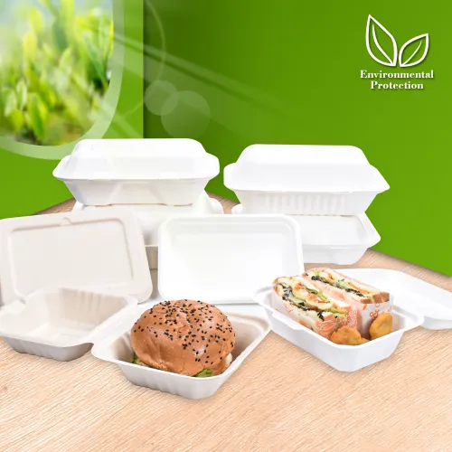What is a disposable lunch container?