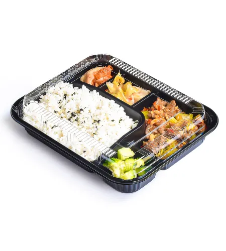 SUNZZA Disposable Bento Containers: Made for Easy Storage