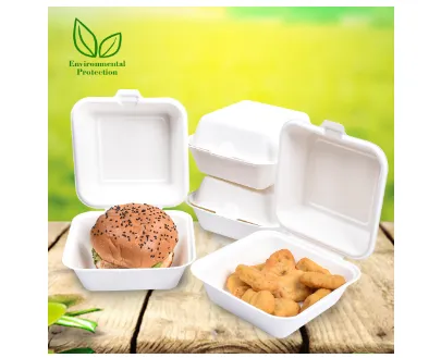 Features of Disposable lunch box