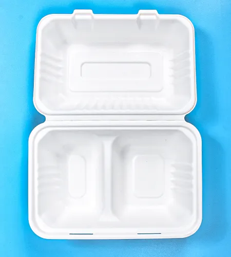 SUNZZA's Disposable Lunch Containers: A Must-Have for Outdoor Activities and Picnics