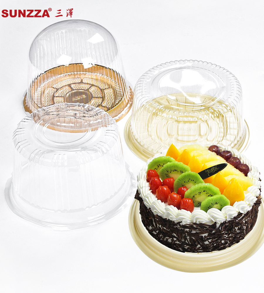 Custom-made Disposable Plastic Container,Disposable Plastic Container For Food
