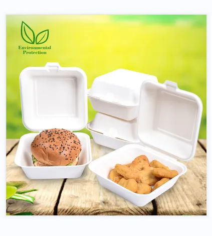 Environmental concerns surrounding disposable lunch boxes