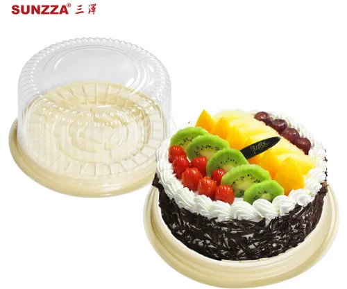 Design features of plastic cake box