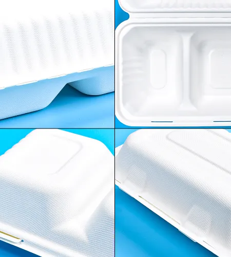 SUNZZA's Disposable Lunch Containers: A Versatile Solution for Every Occasion