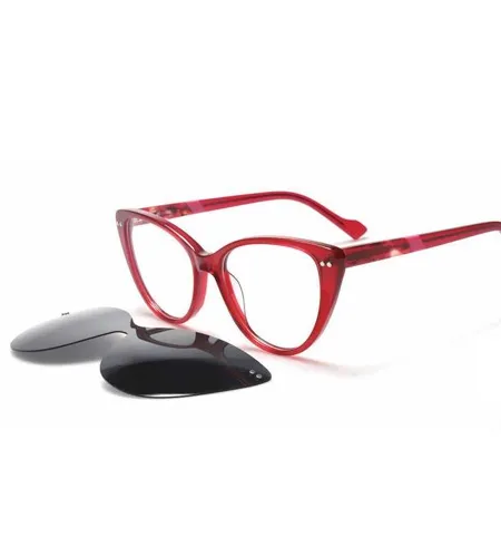 Partner with Tuopu for reliable clip on frame OEM manufacturing.