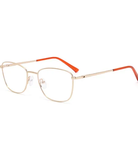 Create optical frames as a platform for opticians to deliver perfect vision.