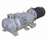 What are the disadvantages of dry screw vacuum pump