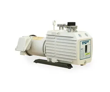Maintenance method of rotary vanevacuum pumps