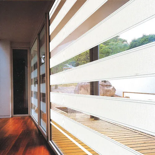 About Zebra Blinds Introduction